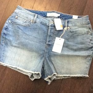 Torrid Plus Size Shorts Size 16 and 18 bundle